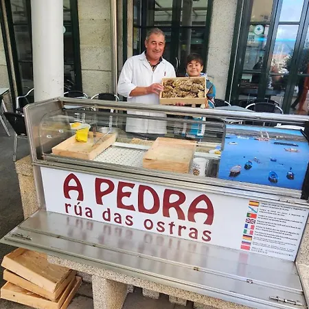 La Marina Real Vigo
